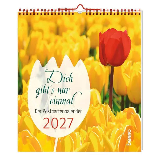 Dich gibt 's nur einmal - der Postkartenkalender 2027