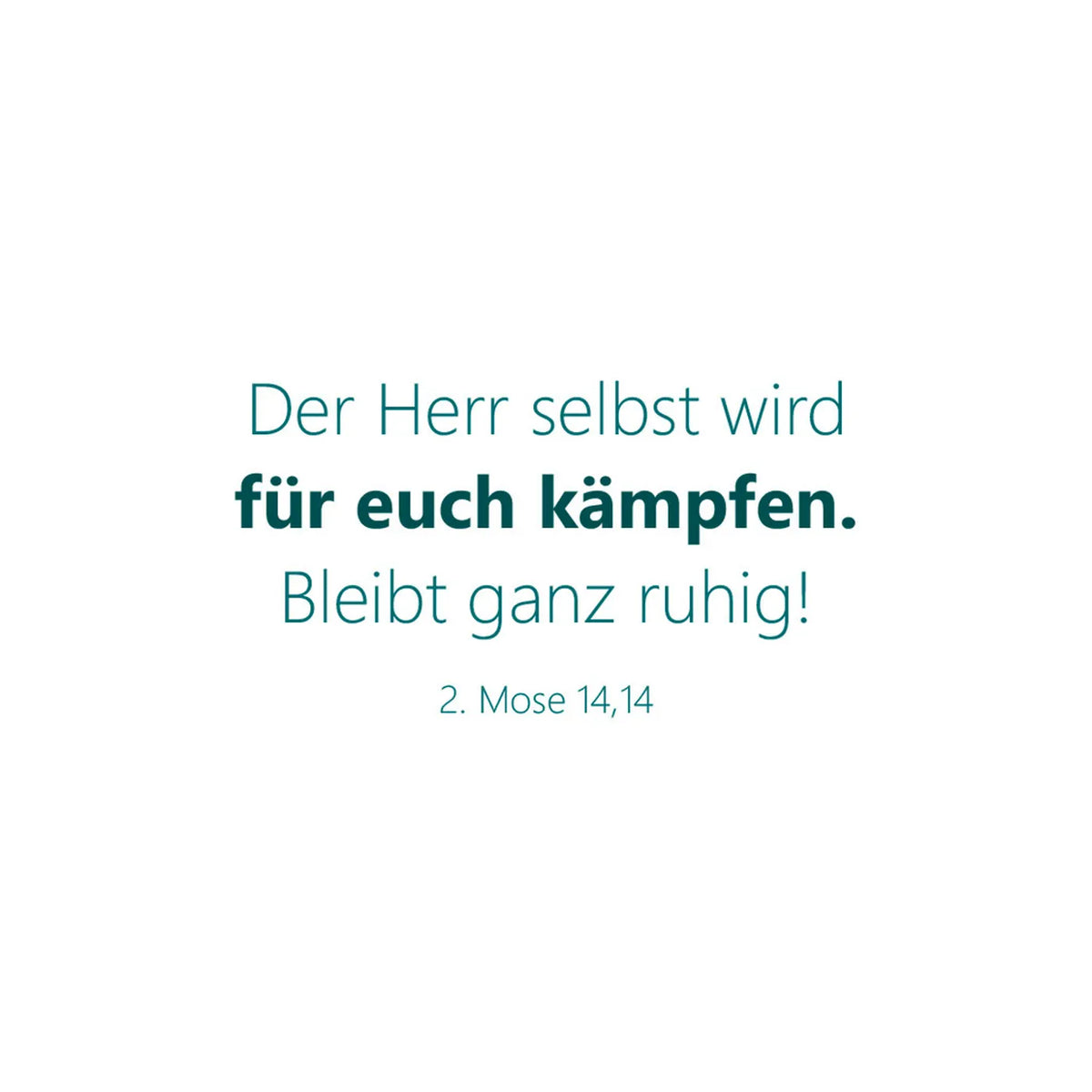 Für Gott sind alle Dinge möglich – Textkartenbox - 50 kraftvolle Zusagen aus der Bibel