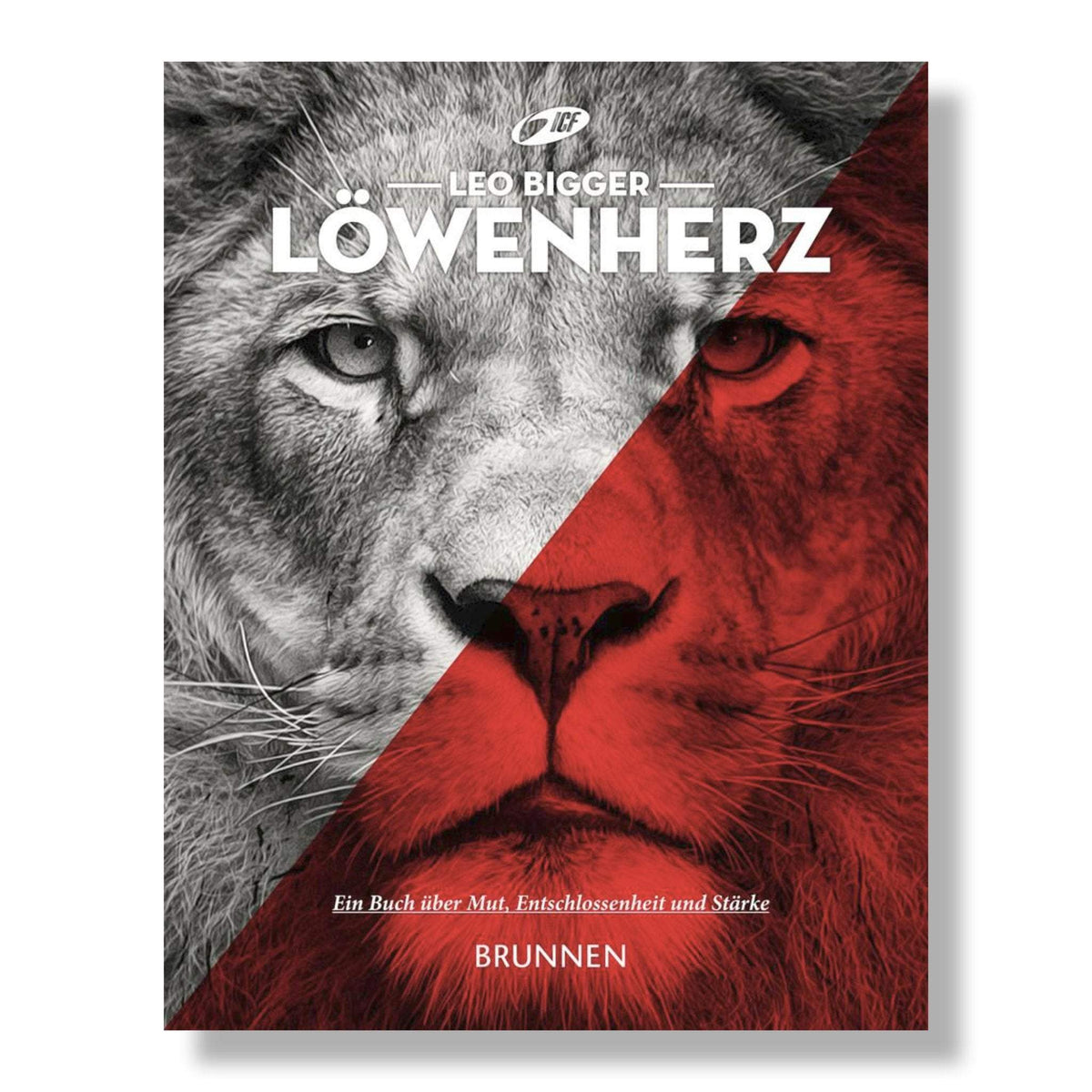 Löwenherz-Fontis-Bücher